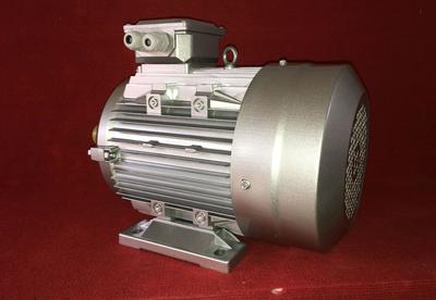 【山東EJIATE暢銷iMS YS系列鋁殼l高效率節(jié)能三相異步】價(jià)格_廠家_圖片 -